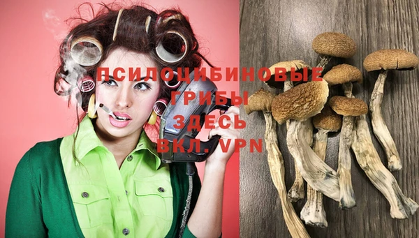 хмурый Абинск