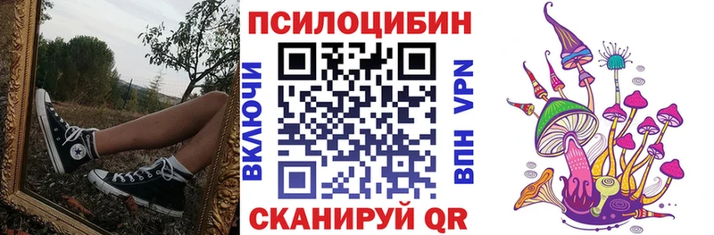 Псилоцибиновые грибы мицелий Мещовск